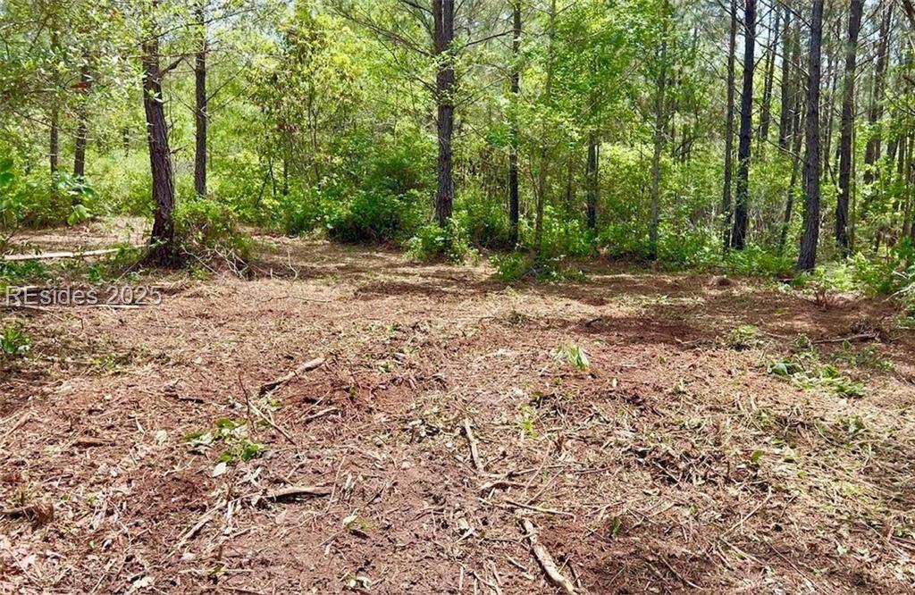 505 Sisters Ferry Rd., Ridgeland, SC 29936