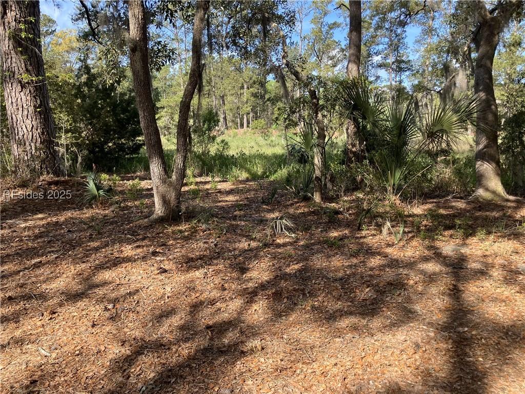 62 Bear Creek Dr., Hilton Head Island, SC 29926