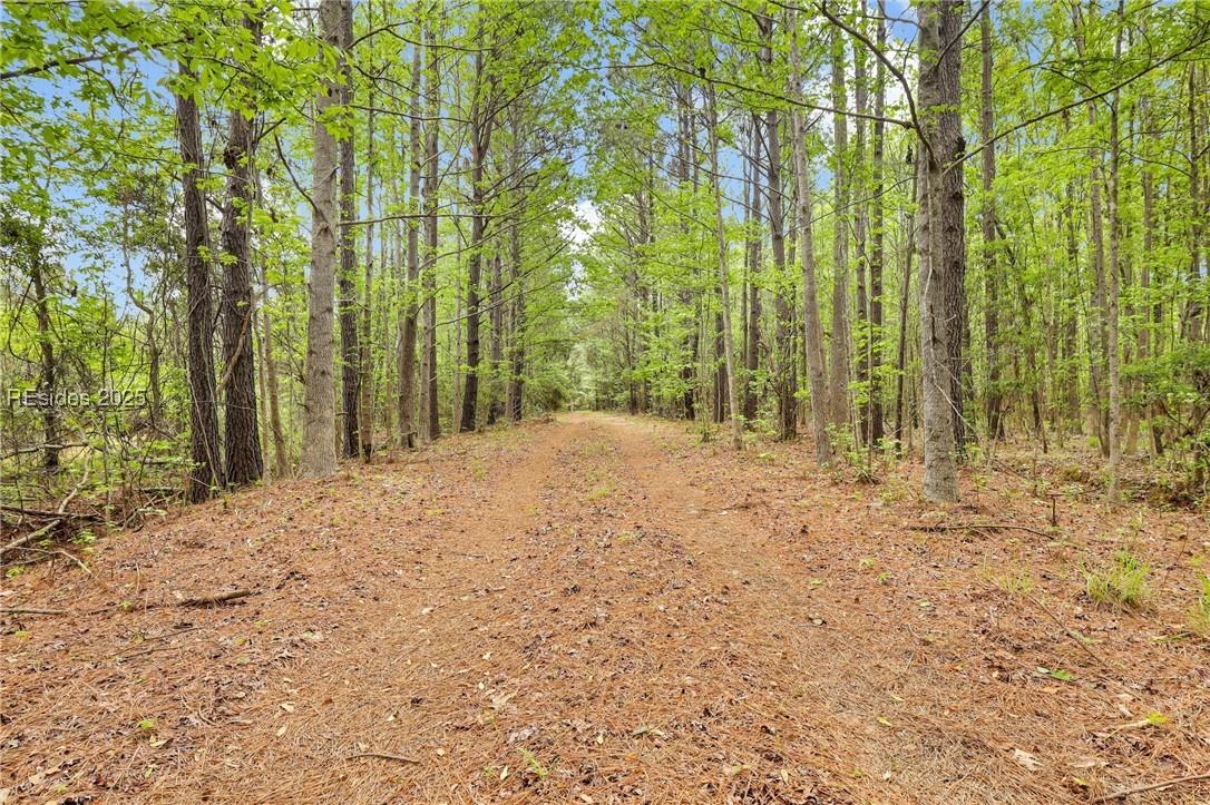 2070 Freedom Parkway, Limehouse, SC 29927