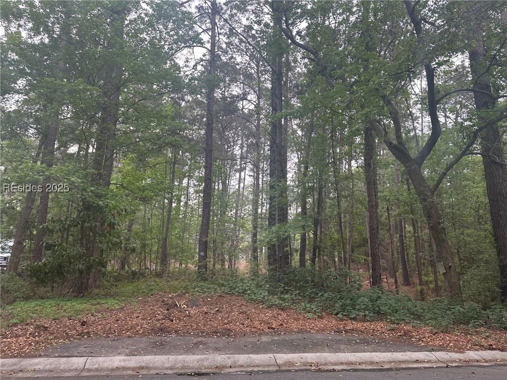 9 Turtle Ln., Beaufort, SC 29907