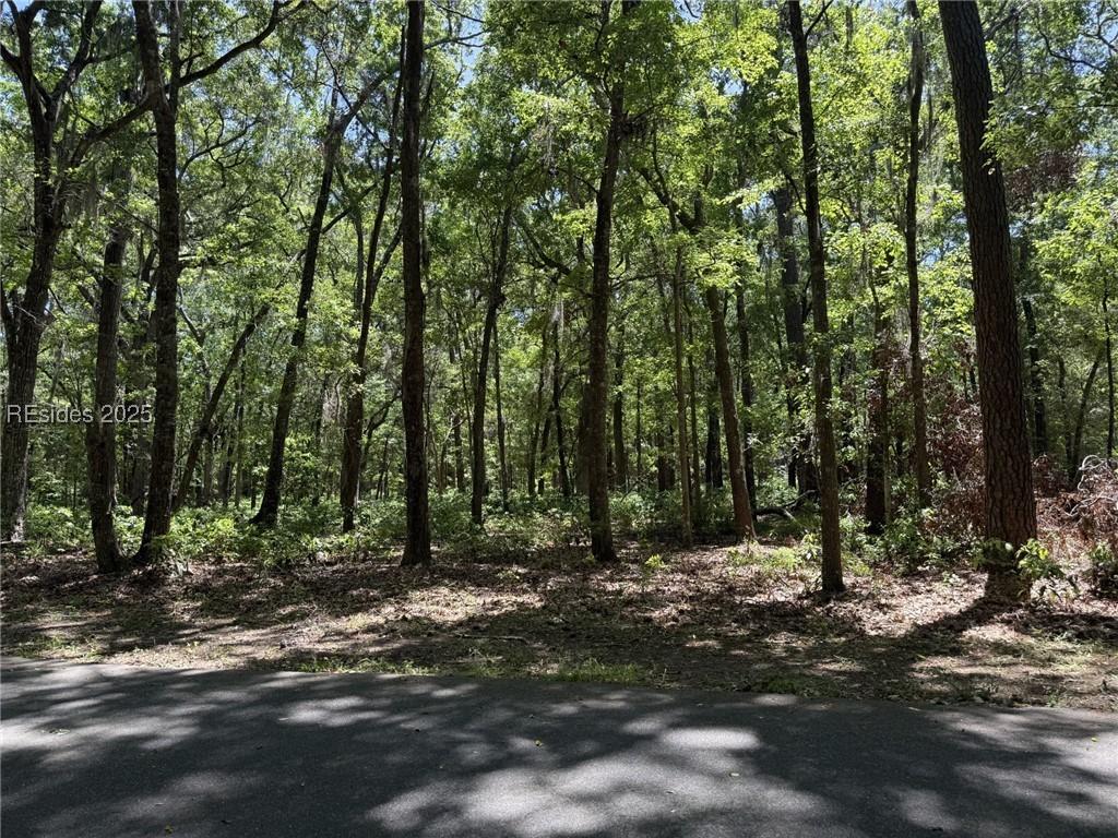 18 Masters Dr, Daufuskie Island, SC 29915