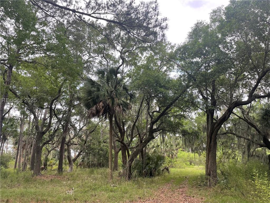 4 Marsh Palm Pl., Bluffton, SC 29910