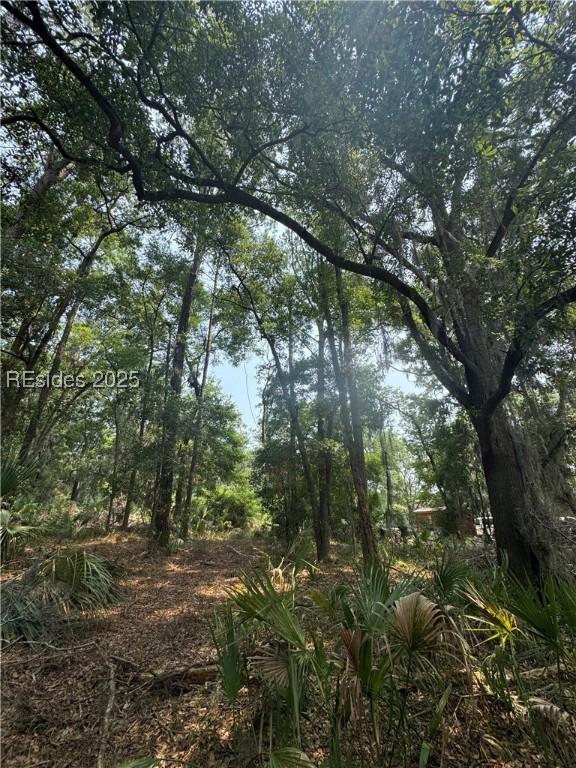 32 Haig Point Rd, Daufuskie Island, SC 29915