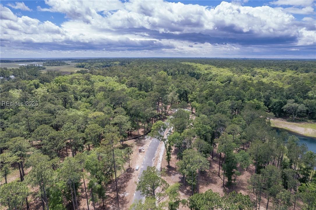 41 Inkberry St., Bluffton, SC 29910
