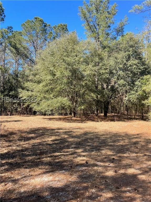 TBD Stock Farm Rd., Ridgeland, SC 29936
