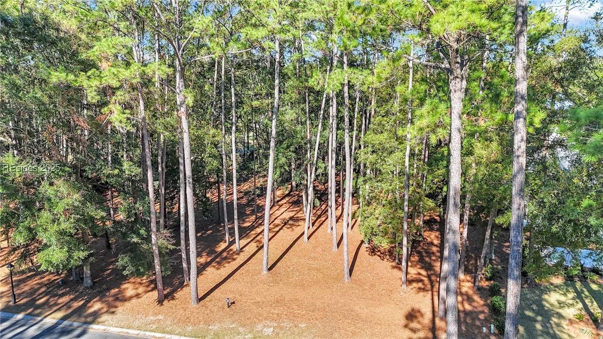117 Summerton Dr., Bluffton, SC 29910