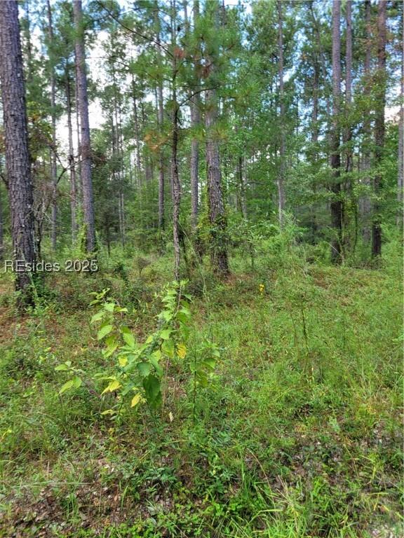 TBD Tina Manker Rd., Ridgeland, SC 29936
