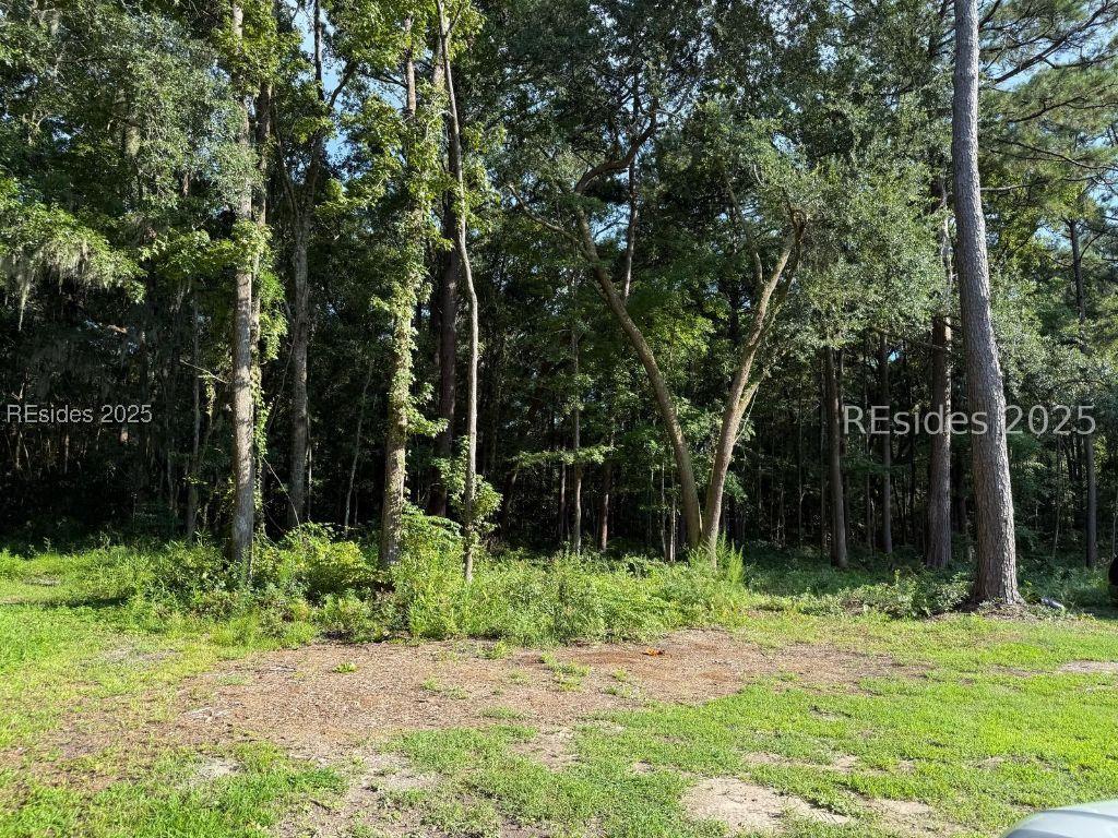 23 Joe Frazier Rd., Beaufort, SC 29906