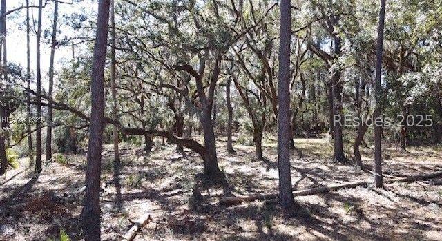 lot 89 Broadview Dr., Ridgeland, SC 29936