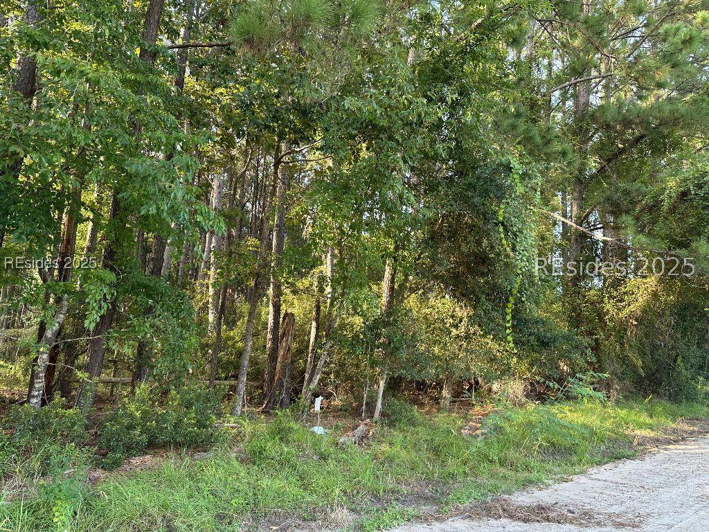 464 Paige Point Bluff, Seabrook, SC 29940