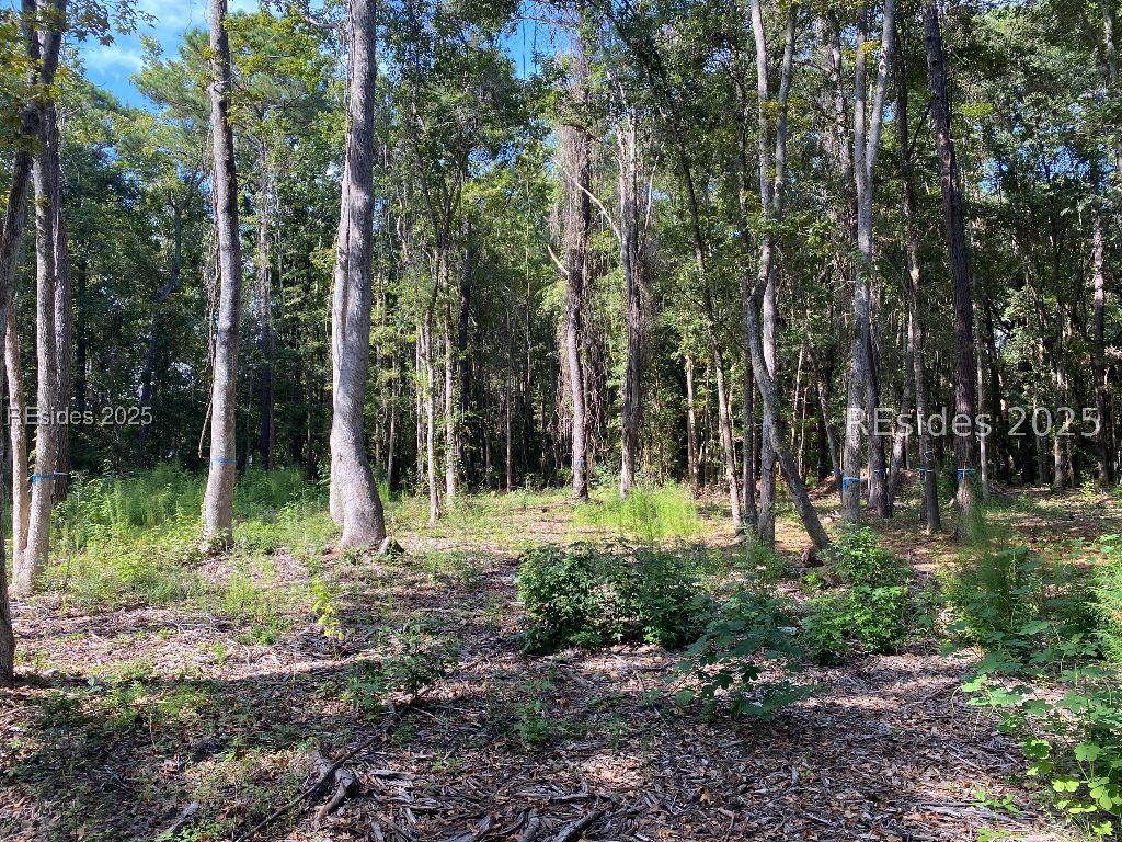 51 Mary Smalls Rd., St Helena Island, SC 29920