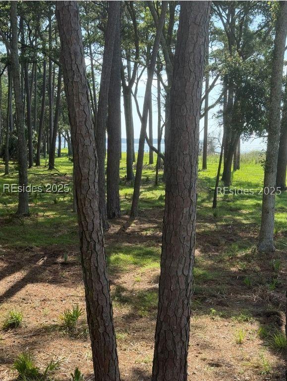 87 Martinangel Ln., Daufuskie Island, SC 29915