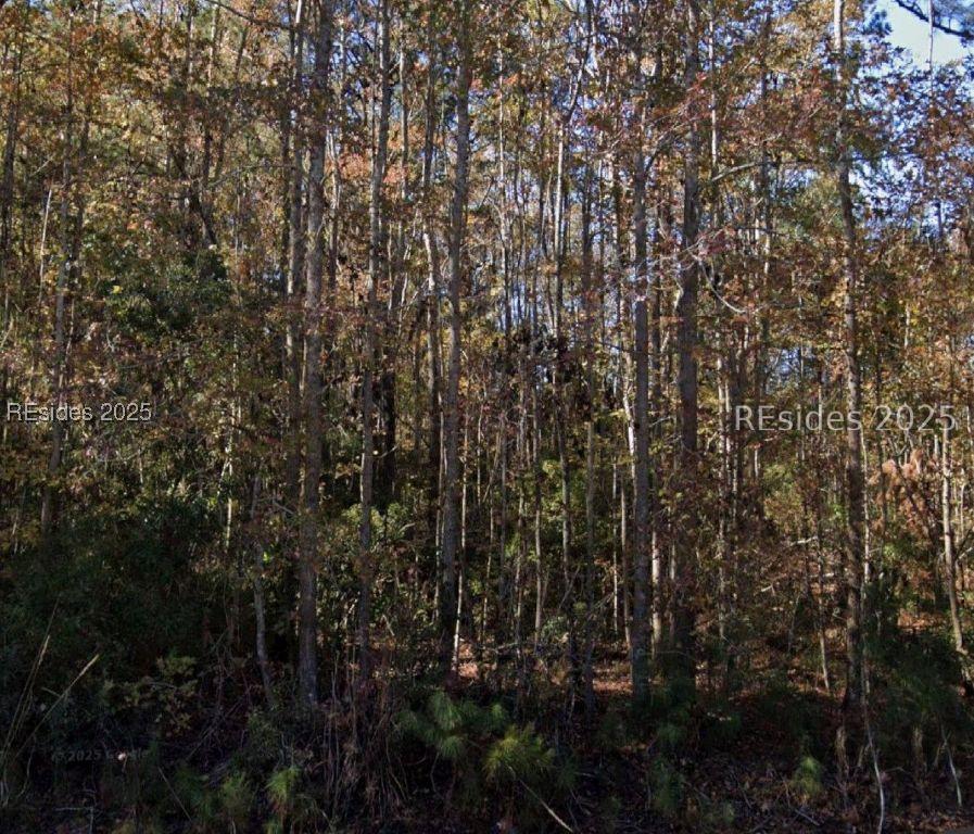 Cotton Hill Rd., Pineland, SC 29934