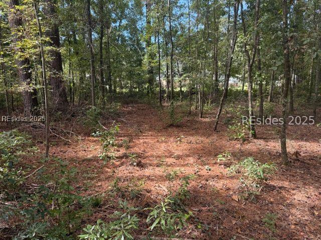 169 Red Breast Ln., Ridgeland, SC 29936