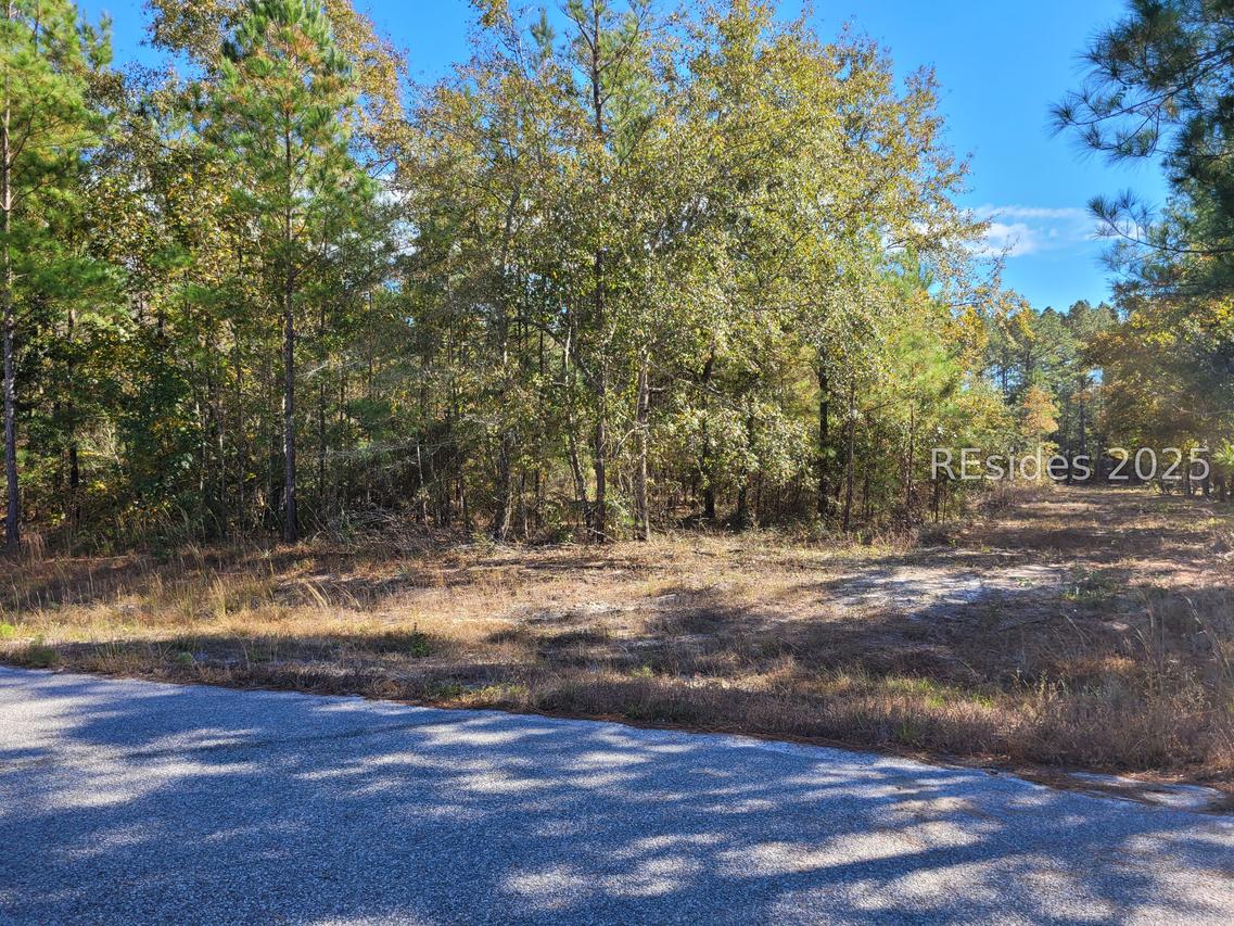 TBD Beaver Creek Pl., Ridgeland, SC 29936