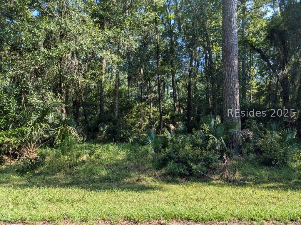 282 Oakridge Ln., Daufuskie Island, SC 29915