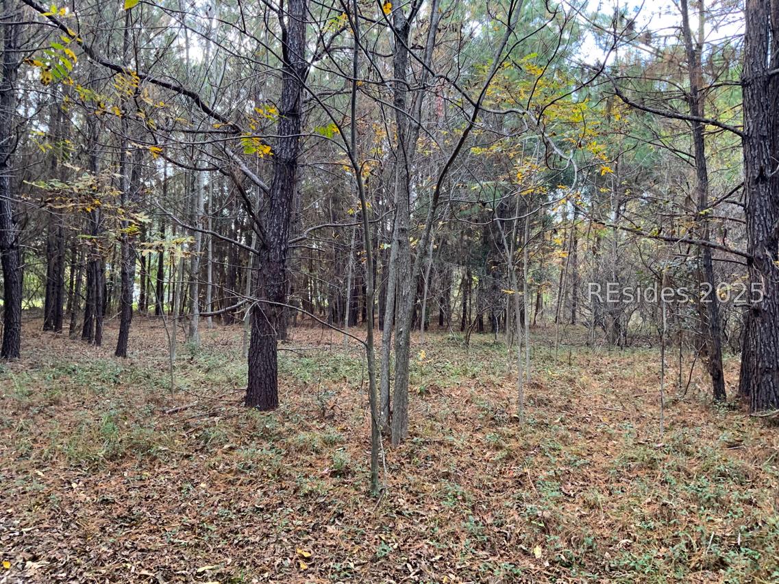 TBD Pearl Harbor Drive, St Helena Island, SC 29920