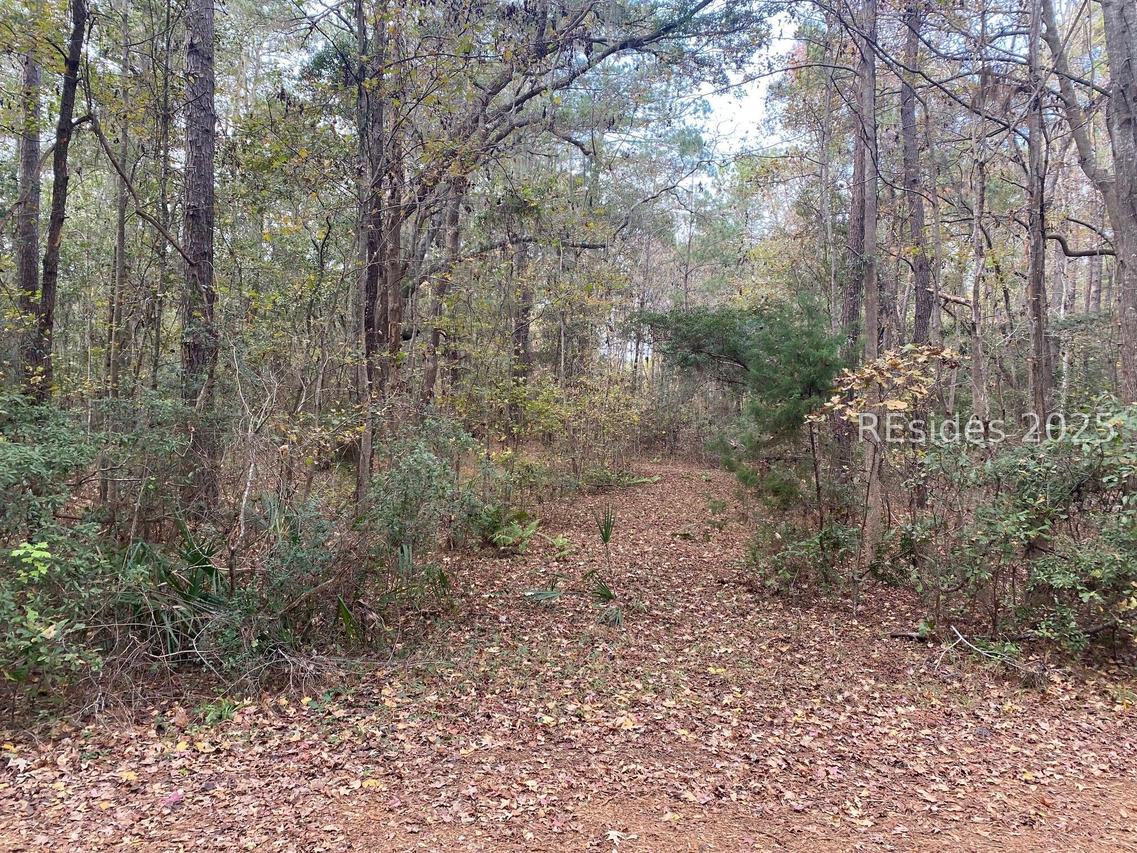 275 Spring Island Dr., Okatie, SC 29909