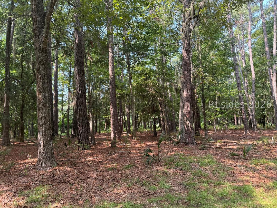 18 Captain Monroe Ln., Daufuskie Island, SC 29915