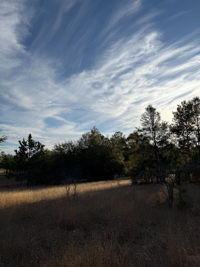 TBD Stokes Bluff Rd., Garnett, SC 29922