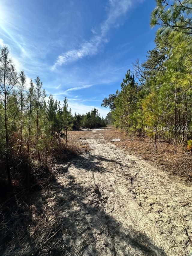 Spring Field Plantation Dr, Ridgeland, SC 29936