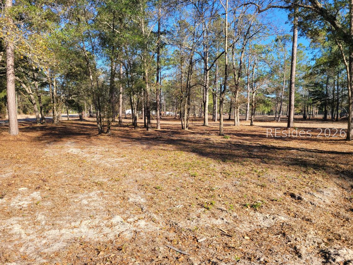 TBD Beaver Dam Creek Rd., Ridgeland, SC 29936