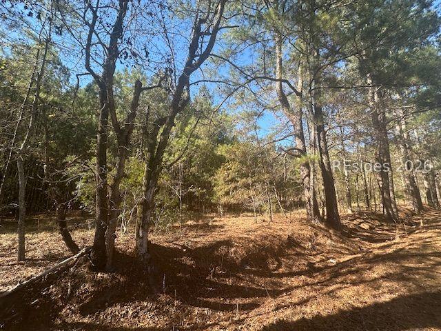 585 Bailey Mill Rd., Ridgeland, SC 29936