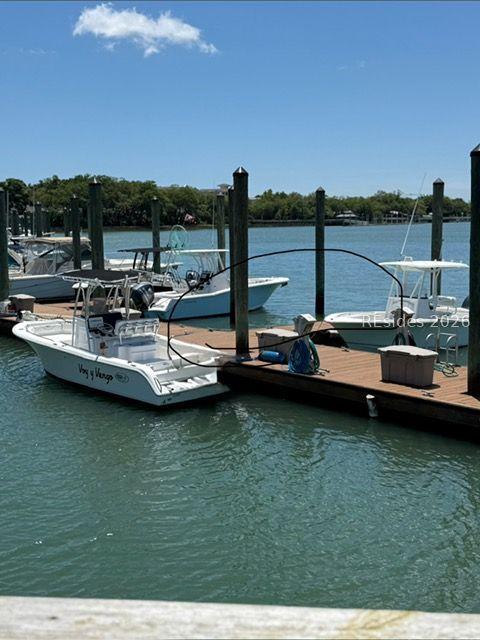 118 Villages Of Skull Creek, Hilton Head Island, SC 29926