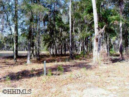 [Address Hidden by Seller], Daufuskie Island, SC 29915