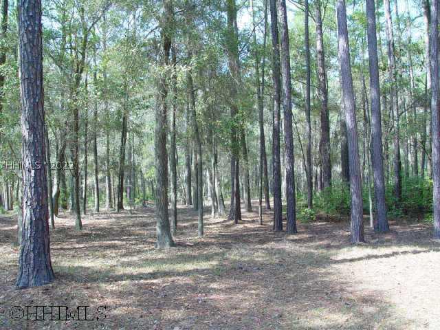 [Address Hidden by Seller], Daufuskie Island, SC 29915