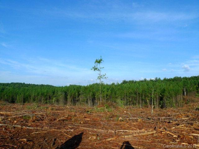 V/L Gwaltney Road #NA, Morganton, NC 28655