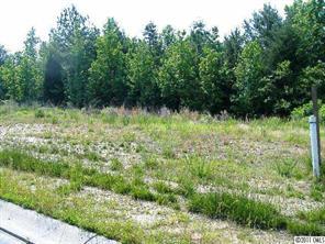 3019 Chasbury Park Dr. #52, Waxhaw, NC 28173