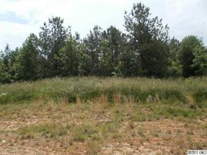 3013 Chasbury Park Dr., Waxhaw, NC 28173