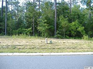 3043 Chasbury Park Dr., Waxhaw, NC 28173