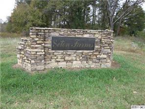 00 Boy Scout Rd., Lincolnton, NC 28092