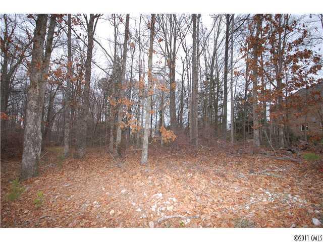 Lot 2 Sherringham Way, Waxhaw, NC 28173