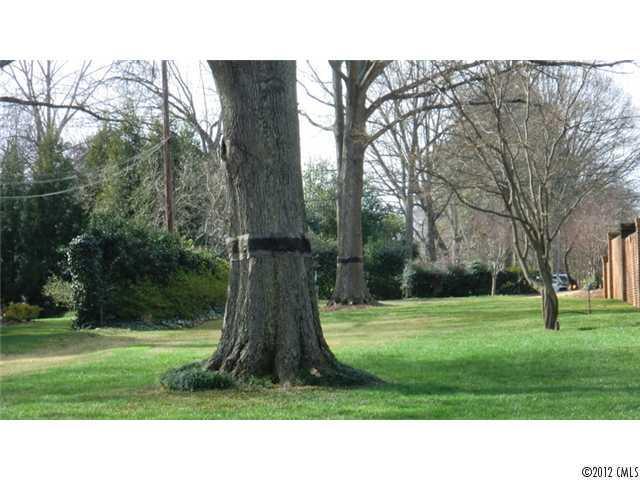 3116 Willow Oak Rd., Charlotte, NC 28209