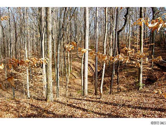 Lot 13 Walnut Ridge Rd. #13, Iron Station, NC 28080