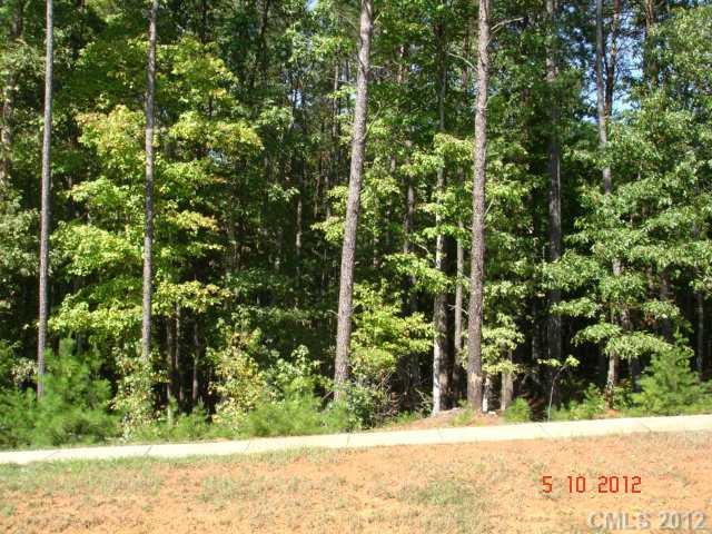 10509 Green Heron Ct., Charlotte, NC 28278