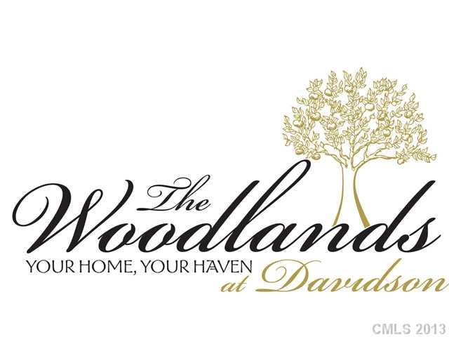 Lot 18 Woodlands Trail Dr. #18, Davidson, NC 28036