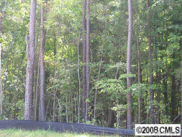 13118 Fairington Oaks Dr., Mint Hill, NC 28227