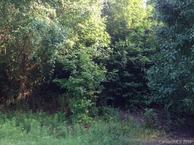 Lot 13 Kingsview Dr., Davidson, NC 28036