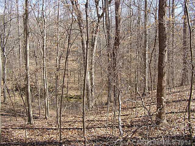 Lot 13 Strawberry Ct., Midland, NC 28107
