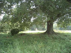 Lot 6 Nighthawk Cir., Davidson, NC 28036