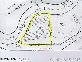 31 Adayahi Ct. #UNIT 24 LOT 59, Brevard, NC 28712