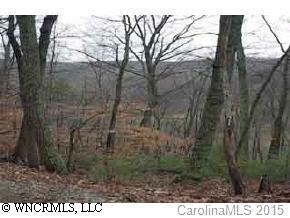 [Address Hidden by Seller], Weaverville, NC 28787