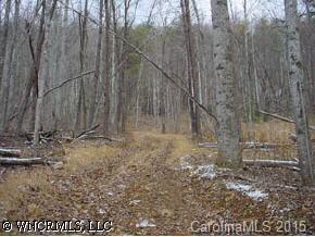 376 S. Morgan Branch, Candler, NC 28715