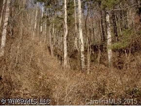 119 Pinecroft Rd., Asheville, NC 28804