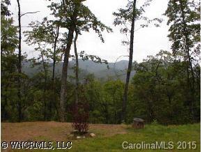 Off Turkey Pen Ln. #SECTION G LOT 1, Pisgah Forest, NC 28768