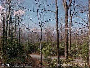 Black Walnut Dr. #LOT 4-F (REVISED), Pisgah Forest, NC 28768
